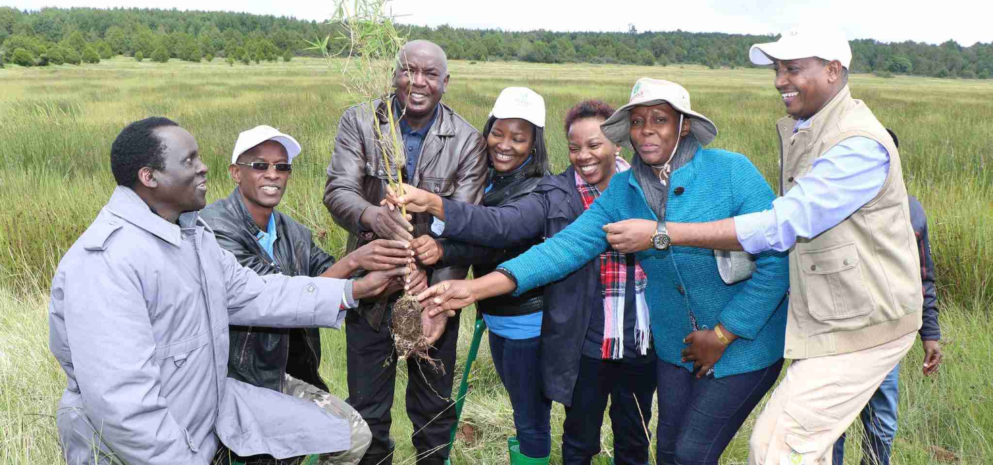 Convention on Biological Diversity.