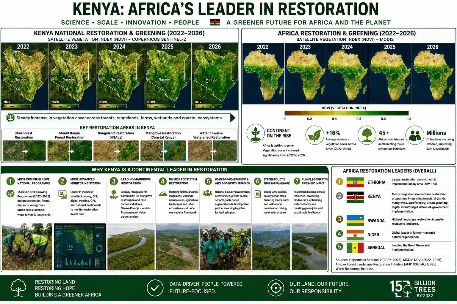 forest-restoration.jpg
