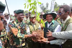 forestday2026.jpg